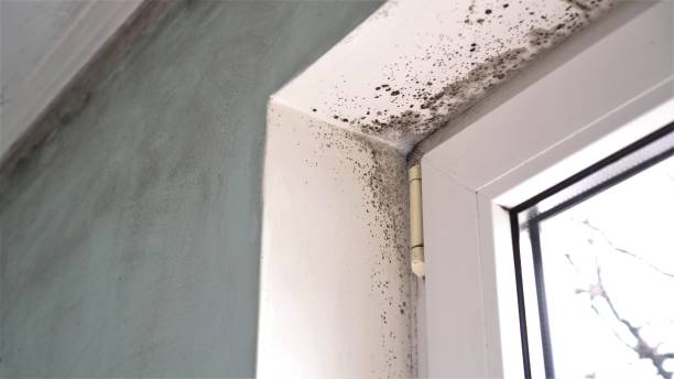 Water Damage Restoration in Perryville, AR