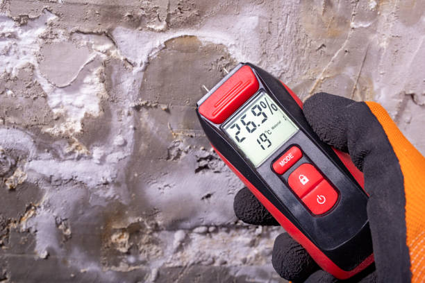 Best Fast Mold Removal  in Perryville, AR
