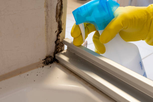 Best Emergency Mold Removal  in Perryville, AR
