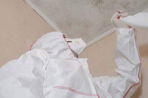 Best Office Mold Removal Services  in Perryville, AR